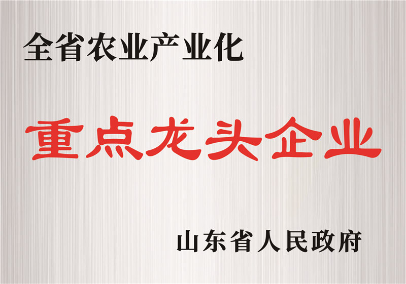 重點(diǎn)龍頭企業(yè)