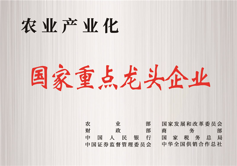 國家重點(diǎn)龍頭企業(yè)